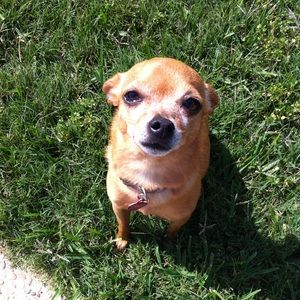 Meet your Posher, Jay